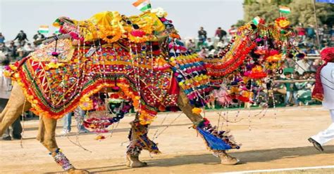 Bikaner Camel Festival 2019 in India - बीकानेर का ऊंट उत्सव जहां देखने को मिलता है ऊंट नृत्य ...