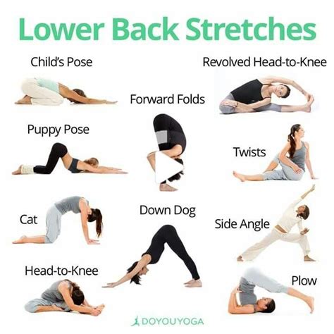 top yoga poses for lower back paint