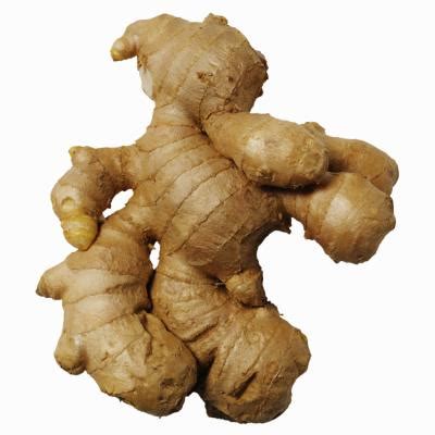 How to Cultivate Ginger | Home Guides | SF Gate