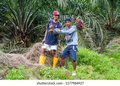 36 Sawit kinabalu Images, Stock Photos & Vectors | Shutterstock