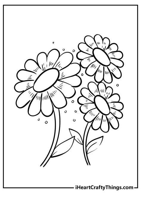 Daisy Flower Printable Coloring Pages | Best Flower Site