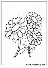 Daisy Flower Printable Coloring Pages  Best Site sketch template