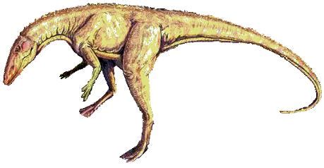 Staurikosaurus - Alchetron, The Free Social Encyclopedia