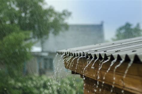 Solutions for Water in the Basement After Heavy Rain | EverDry Toledo