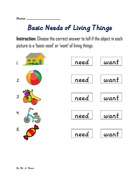 Basic Needs of Living Things activity | Social studies worksheets ...