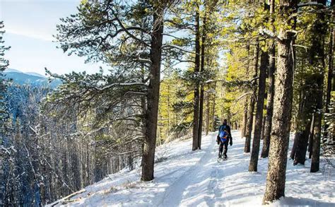 Snowshoeing the West Bragg Creek Trails, Alberta - Hike Bike Travel