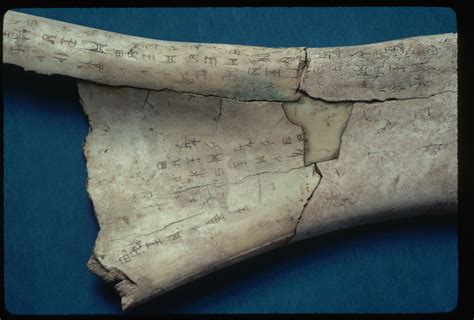 Oracle Bones - Predicting the Future in Shang, China