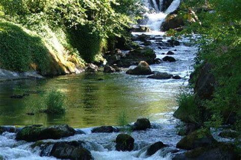 Deschutes River | Native Fish Society