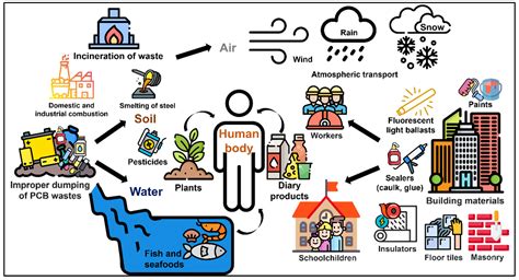 Toxics | Free Full-Text | Polychlorinated Biphenyls (PCBs) in the Environment: Occupational and ...