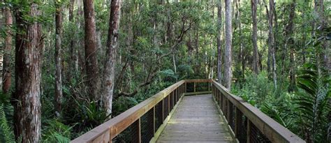 ROAD TRIP: Lake Okeechobee Scenic Trail is a 100-mile trail that takes you from the ocean to the ...