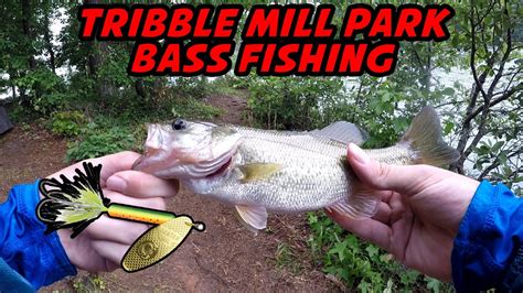 TRIBBLE MILL park BASS fishing - YouTube