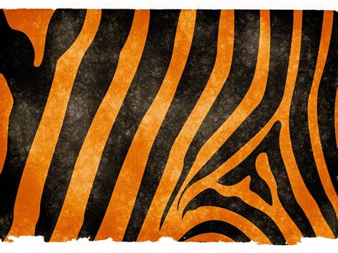 Tiger Stripes Wallpapers - Wallpaper Cave