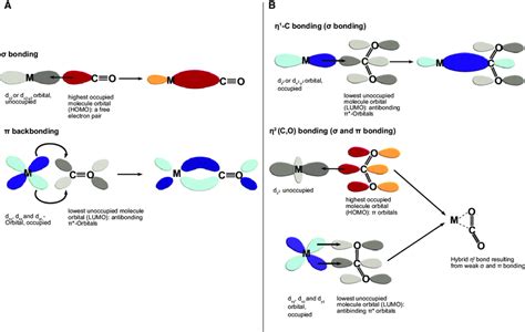 CO (A) and CO 2 (B) bonding to transition metals. (A) CO binds to a... | Download Scientific Diagram