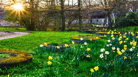 Desktop Hintergrundbilder Natur Sonne Frühling Park 1920x1080