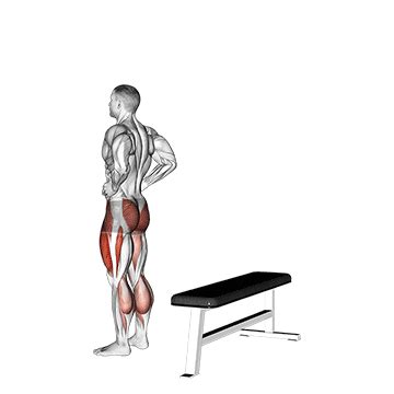 Transverse Step Up - Guide, Benefits, and Form