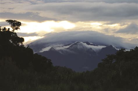 Deadly Paradise: Madidi National Park – How It Works