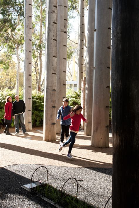 Forest Secrets - Melbourne Museum