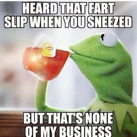 Just 21 Of Best And Funniest Kermit Memes