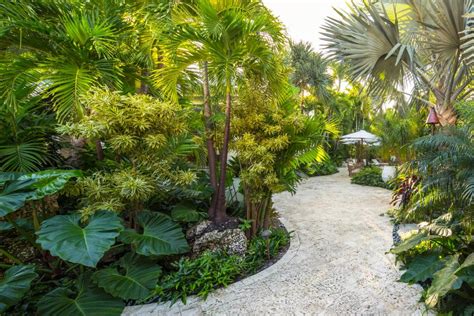 Tropical Backyard Landscaping Ideas, Making Backyard Great Again - HOMIVI