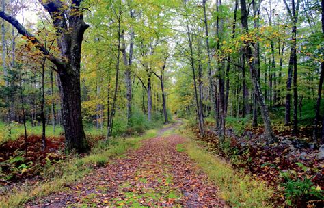 Take a Hike! Celebrate National Trails Day on June 2nd on a Lesser ...