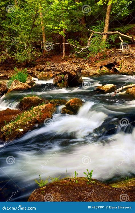 River rapids stock image. Image of brook, clean, outdoors - 4259391