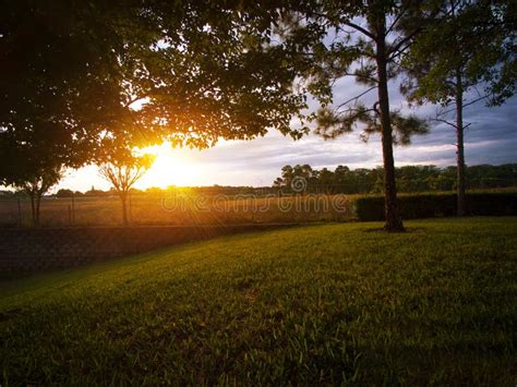 Sunrise in the country stock photo. Image of rural, grass - 95723748