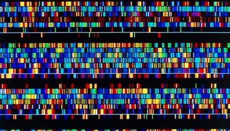 DNA/RNA Sequencing Platforms: A Short Overview