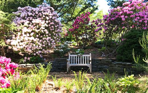 Hidden Gems: Cornell Botanic Gardens - A Healthier Upstate