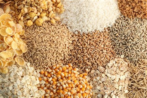 Complete List of Grains and Pseudograins - Paleo Foundation | Grains list, Whole grains list ...