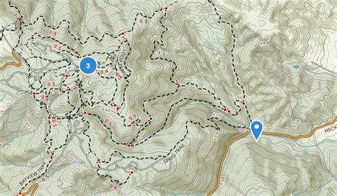 Best Trails in Mount Madonna County Park | AllTrails.com