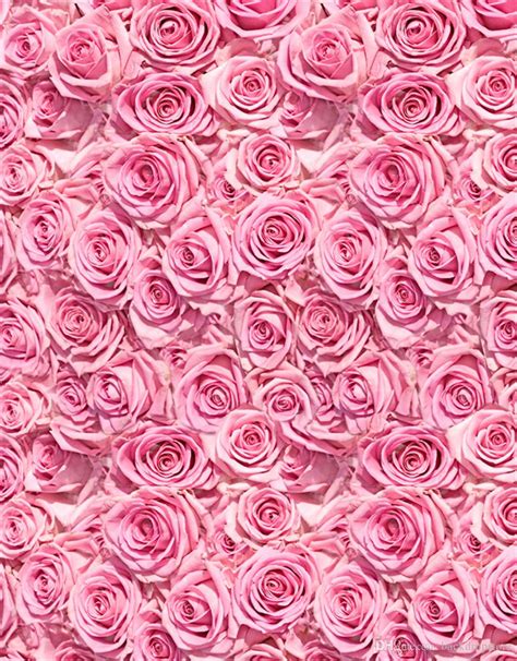 🔥 [25+] Pink Roses Backgrounds | WallpaperSafari