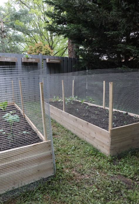 17 DIY Garden Fence Ideas With Installation Guides - DIYsCraftsy