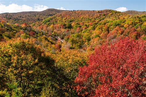 Asheville 2019 Fall Color Report & Forecast | Scenic Views | Asheville, NC's Official Travel Site