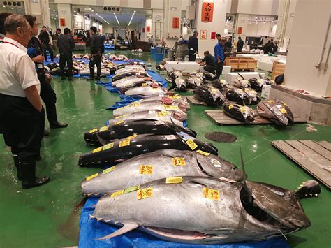 Tokyo Toyosu Fish Market Tour with Private Tuna Auction | Tokyo tour ...