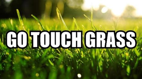 Touch Grass – Meaning, Origin and Usage - English-Grammar-Lessons.com