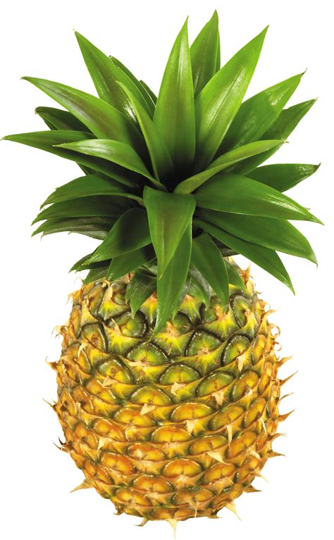 Free Green Pineapple Cliparts, Download Free Green Pineapple Cliparts ...