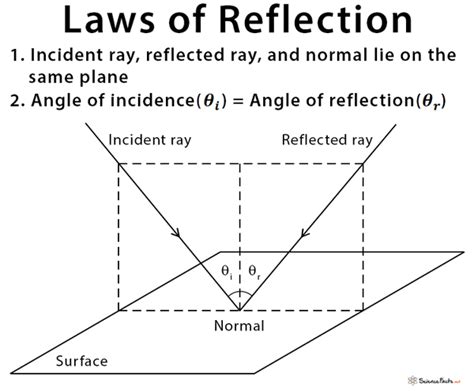 Reflection: Definition, Types, Laws, and Ray Diagrams