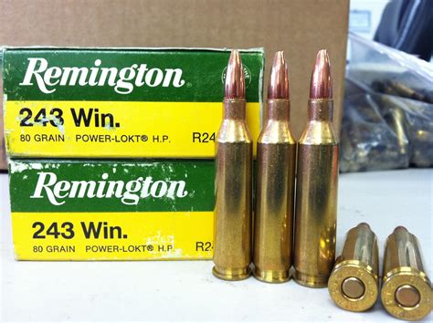 243 Winchester Rifle Ammo: Factory ... for sale at Gunsamerica.com: 957605794