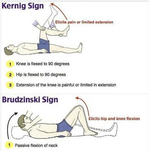 Pin by Patti DeiTos, MSN, RN on Pathophysiology | Kernig sign, Medical ...