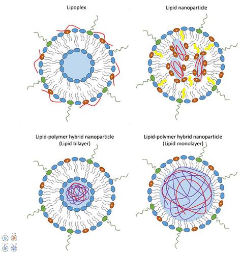 Solid Lipid Nanoparticles Ppt