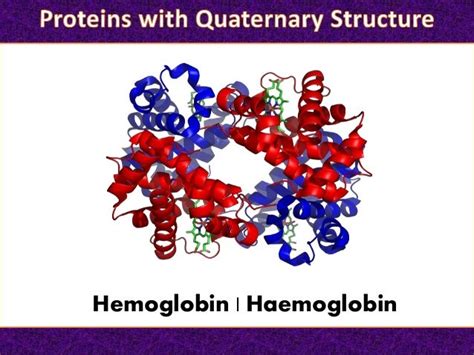 The Quaternary Structure of Protein