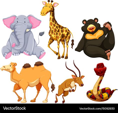 Six different types of wild animals Royalty Free Vector