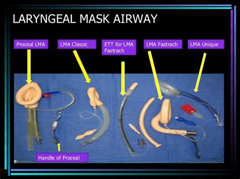 AIRWAY ADJUNCT