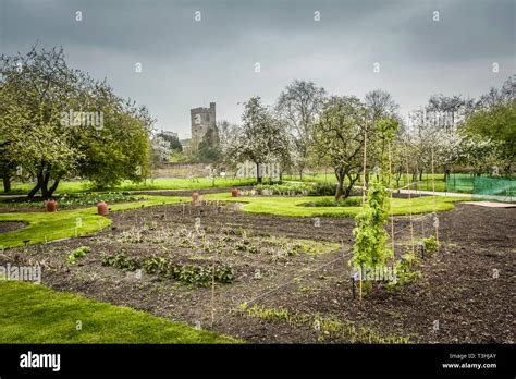 The Walled Gardens of Fulham Palace the historic house and gardens of ...