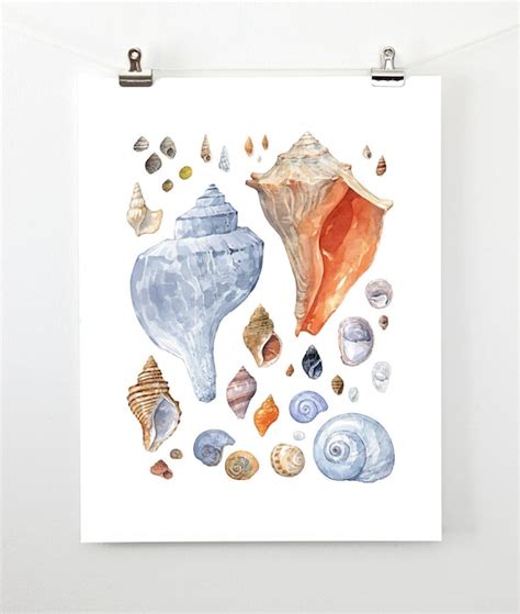 Seashell Painting Coastal Wall Art Watercolor Shells Print - Etsy Canada