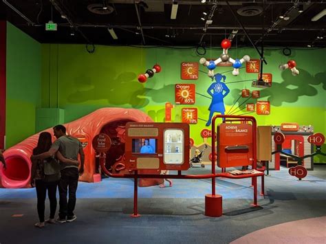 Best 5 Things to Do in Arizona Science Center Phoenix