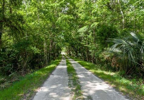 Silver Springs Forest Wildlife Management Area | FWC