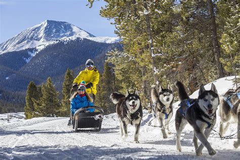 Breckenridge Dog Sledding Tours - Breckenridge, Colorado