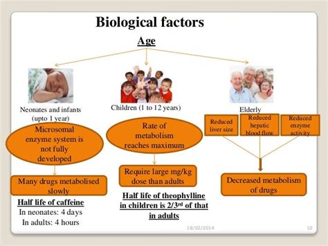 The Biological Forces Of Development The Basic