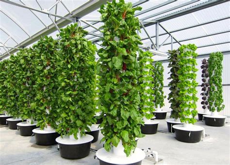 Commercial application of the tower At 26,000sqft, the largest aeroponic farm in the nation ...